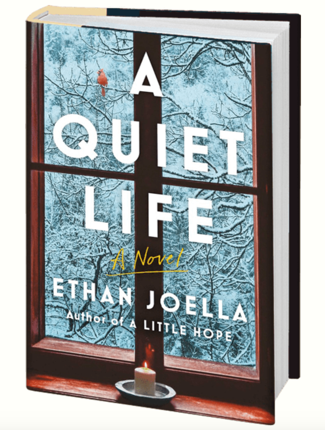 Ethan Joella's A Quiet Life Publishes November 29th, 2022 Writing