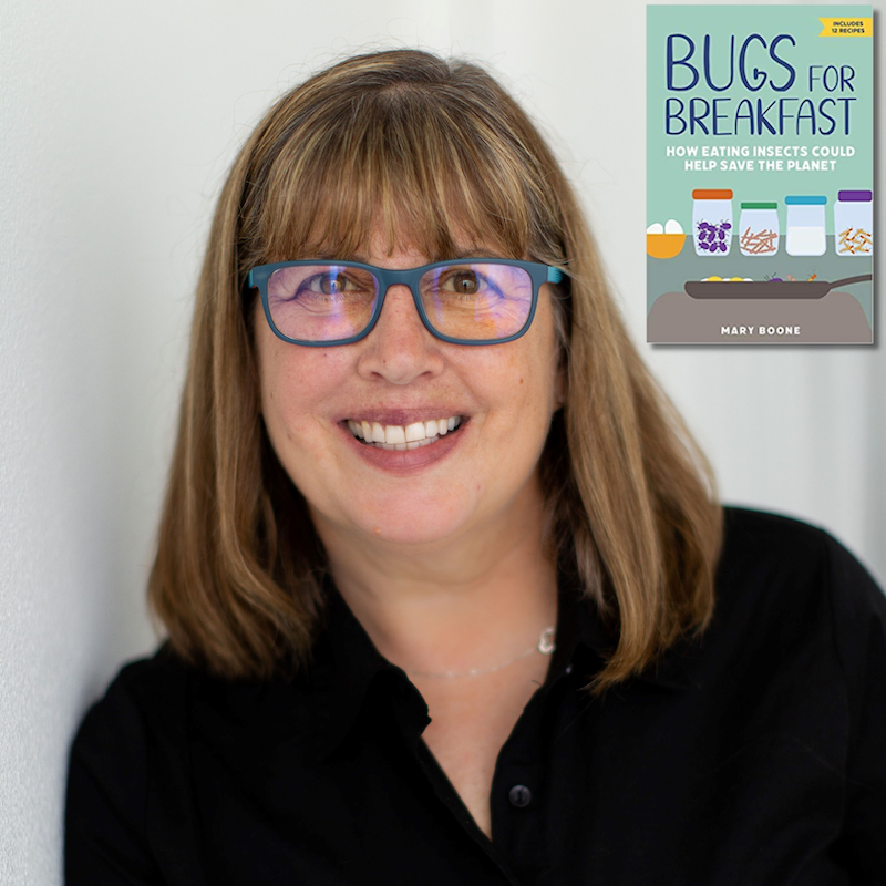 Writing Picture Books that Sell Zoom Seminar | WritingWorkshops.com