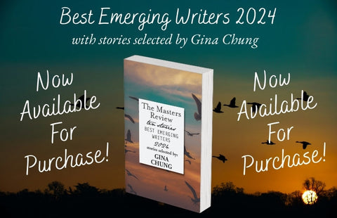 Alumni Spotlight: Elizabeth Kleinfeld Named Among Best Emerging Writers of 2024